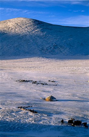 steppe - Mongolia,Bayan-Olgii Province. Yurts in Winter. Stock Photo - Rights-Managed, Code: 862-03437251