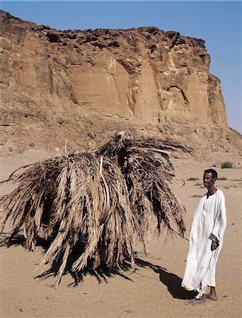 sudan - At the foot of Jebel Barkal Mountain,a man leads his camel laden with dried date palm fronds to his home where they will be used as wind-breaks. Stock Photo - Rights-Managed, Code: 862-03437383