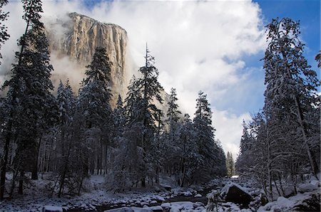 USA,California,Yosemite National Park. Fresh snow fall on El Capitan in Yosemite Valley. Stock Photo - Rights-Managed, Code: 862-03437440