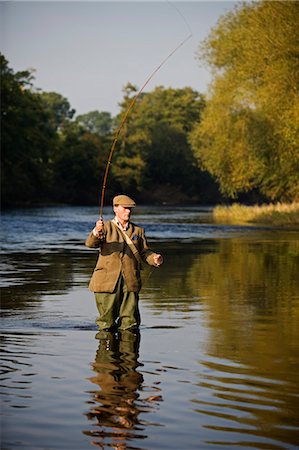 Wales; Wrexham. A trout fisherman casting to a fish on the River Dee Stock Photo - Rights-Managed, Code: 862-03437878
