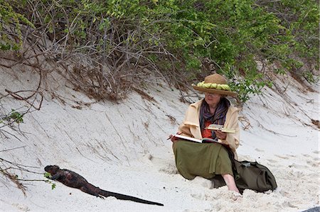 Galapagos Islands, An artist paints a marine iguana on the sandy beach of Espanola island. Stock Photo - Rights-Managed, Code: 862-03711522