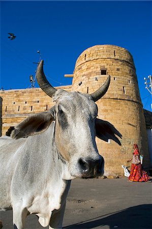 simsearch:400-05146135,k - India,Rajasthan,Jaisalmer. Jaisalmer Fort - the ramparts and towers of the main 'living' fort built in 1156 by the Bhati Rajput ruler Jaisal,are situated on Trikuta Hill and has been the site of many battles but now forms the background to a sacred cow walking down the main street. Stock Photo - Rights-Managed, Code: 862-03712028
