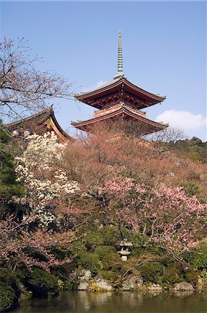 simsearch:862-03712487,k - Kiyomizudera temple,red pagoda,spring cherry trees around pond Stock Photo - Rights-Managed, Code: 862-03712481