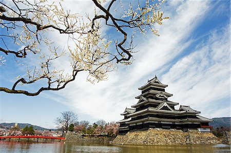simsearch:862-03712487,k - Matsumoto Castle and moat spring cherry tree blossom Stock Photo - Rights-Managed, Code: 862-03712494