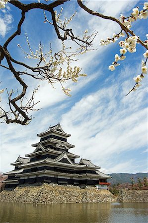 simsearch:862-03712492,k - Matsumoto Castle and moat spring cherry tree blossom Stock Photo - Rights-Managed, Code: 862-03712495