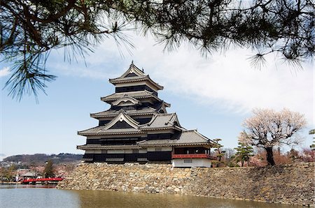 simsearch:862-03712487,k - Matsumoto Castle,moat and spring cherry tree blossom with pine tree frame Stock Photo - Rights-Managed, Code: 862-03712493