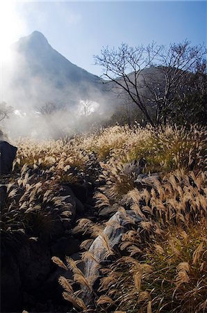 simsearch:862-03712492,k - Japan,Honshu Island,Kanagawa Prefecture,Fuji Hakone National Park. Sulphur springs and grass reeds at Owakudani geothermal area. Stock Photo - Rights-Managed, Code: 862-03712533