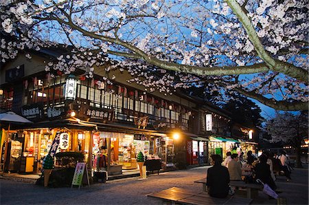 simsearch:862-03712487,k - Japan,Honshu Island,Ishikawa Prefecture,Kanazawa City. Cherry blossom in Kenrokuen Garden. Stock Photo - Rights-Managed, Code: 862-03712574