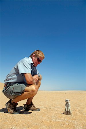 simsearch:862-03713108,k - Africa, Namibia, Skeleton Coast. A meerkat (Suricata suricatta) stands typically alert as a local guide kneels close by. Stock Photo - Rights-Managed, Code: 862-03713107