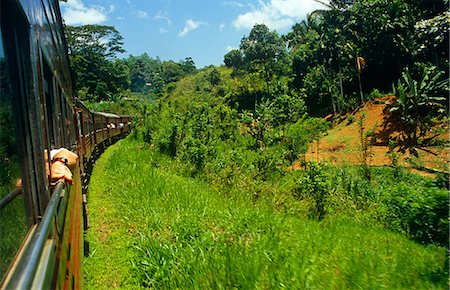 simsearch:700-07784163,k - Sri Lanka, Central Highlands. The Kandy to Badulla Railway passes countryside ranging from tropical forests to vast tea gardens. Stock Photo - Rights-Managed, Code: 862-03713515