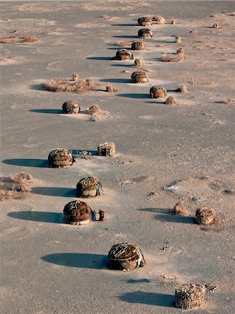 Gabbra maisons terrains semi-désertiques à l'extrémité nord du désert de Chalbi. La richesse de la Gabbra est leurs chameaux. Photographie de stock - Rights-Managed, Code: 862-03736846