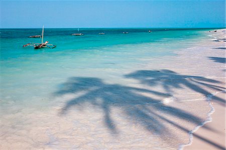 The coconut palm-lined beach at Jambiani has one of the finest beaches in the southeast of Zanzibar Island. Stock Photo - Rights-Managed, Code: 862-03737287