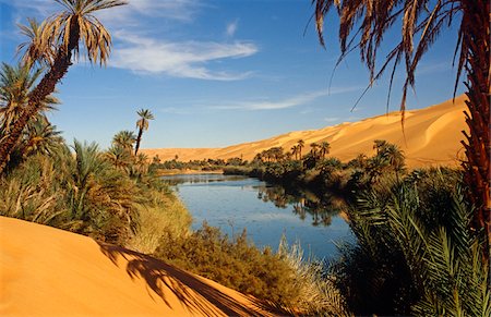Libya, Fezzan, Edeyen Ubari, nr Ubari. The Dawada (aka Ramla) Lakes comprise several oasis pools such as Um al Ma Stock Photo - Rights-Managed, Code: 862-03731778