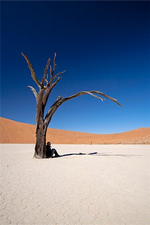 simsearch:862-03365353,k - Namibia, Deadvlei. A tourist finds a spec of shade under one of the ancient dead trees of Deadvlei. Stock Photo - Rights-Managed, Code: 862-03808003