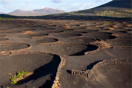 simsearch:862-03807333,k - Île de Lanzarote. Appartient aux îles Canaries et sa formation est due à une activité volcanique récente. Espagne. À La Geria, les vins sont produits dans la cendre volcanique complet. Photographie de stock - Rights-Managed, Code: 862-03808571