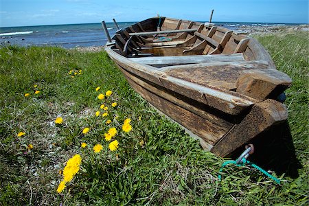 Sweden, Island of Gotland. A traditional wooden built fishing boat pulled up into a summer meadow on a Baltic shoreline Stock Photo - Rights-Managed, Code: 862-03808632