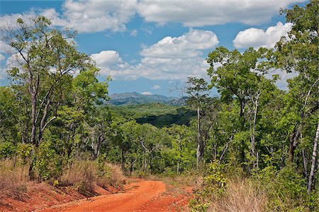 A view of the hills and indigenous forest in the low-lying Kilombero Valley of Tanzania s Southern Highlands. Stock Photo - Rights-Managed, Code: 862-03808712