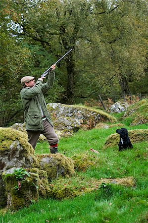 simsearch:862-03361556,k - North Wales, Snowdonia ; Gilar Farm. A man with his dog out shooting. Stock Photo - Rights-Managed, Code: 862-03808815