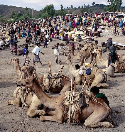 simsearch:862-03366124,k - Situated on top of the western scarp of the Abyssinian Rift, the weekly market at Bati is the largest open air market in Ethiopia.Nomads and their camels trek long distances from the harsh low lying deserts to barter with Amhara and Oromo farmers living in the fertile highlands.All manner of farm produce, livestock and household items are offered for sale. Stock Photo - Rights-Managed, Code: 862-03820383