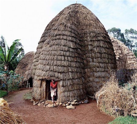 dwelling - The Dorze people living in highlands west of the Abyssinian Rift Valley have a unique style of building their homes. The twenty foot high bamboo frame is covered with the sheaths of bamboo stems or straw, and resembles a giant beehive.Doorways are set in a bulge of the house, which forms a reception area for guests.These remarkable houses can last for forty years or more. Stock Photo - Rights-Managed, Code: 862-03820413