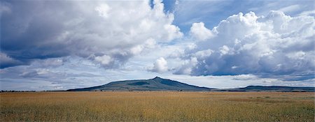 simsearch:862-03820284,k - Mont Longonot, 9 110 pieds de haut, se trouve sur le plancher de la vallée du Grand Rift, trente-cinq kilomètres au nord-ouest de Nairobi.Aptly appelé par le masaï Ol doinyo Longonot, la montagne de nombreuses vallées et ravins, c'est d'origine volcanique. Photographie de stock - Rights-Managed, Code: 862-03820668