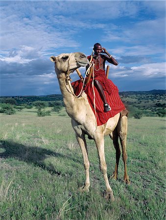 A Maasai warrior speaks on his mobile phone from the saddle of his camel near Lake Magadi in Kenyas Rift Valley Province.Mobile phones are a popular method of communicating with family and friends in remote areas of Kenya. Stock Photo - Rights-Managed, Code: 862-03820679