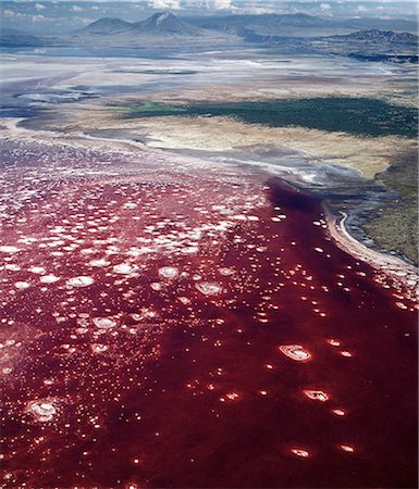 simsearch:862-03820284,k - Lac Natron dans le nord de la Tanzanie est l'un du plus alcalin du système du Rift.Comme ses eaux s'évaporent sous la chaleur intense, sesquicarbonate de sodium, appelé trona ou natron, se solidifie pour ressembler à des têtes de corail géants dans l'eau aux couleurs vives. Visible au-delà du lac est Ol doinyo Lengai le volcan actif uniquement dans le Rift de Gregory. Photographie de stock - Rights-Managed, Code: 862-03821004