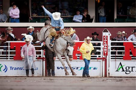 Calgary Canada, Rodeo events at the Calgary Stampede Stock Photo - Rights-Managed, Code: 862-03887471