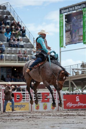 Calgary Canada, Rodeo events at the Calgary Stampede Stock Photo - Rights-Managed, Code: 862-03887491