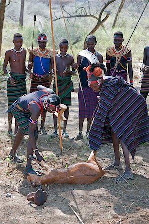 simsearch:862-03888708,k - Watched and assisted by Warriors, a goat is speared by a Pokot elder to rid himself of an ailment the traditional way.  This ceremony is called Kikatat and is often preferred by the elderly to Western medicinal cures. Stock Photo - Rights-Managed, Code: 862-03888705