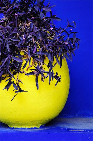 pictures of flower artwork - The blue and yellow contrast found in the Majorelle garden. Marrakech, Morocco Stock Photo - Rights-Managed, Code: 862-03888919