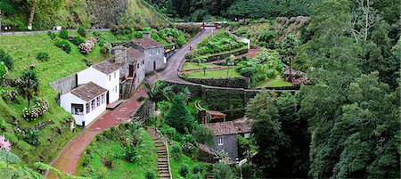 simsearch:862-03889206,k - Ribeira dos Caldeiroes Nature Reserve at Achada, Nordeste.  Sao Miguel, Azores islands, Portugal Stock Photo - Rights-Managed, Code: 862-03889132