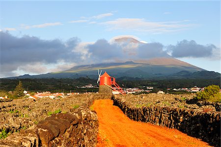 portugal ocean view - Vineyards inside lava walls at Criacao Velha. A UNESCO World Heritage Site. Pico, Azores islands, Portugal Stock Photo - Rights-Managed, Code: 862-03889226