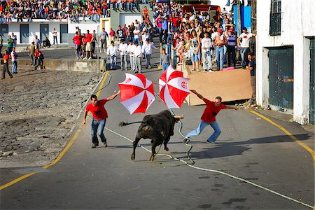 simsearch:862-05998941,k - Bullfight (tourada a corda) in Porto de Pipas. Angra do Heroismo. Terceira, Azores islands, Portugal Stock Photo - Rights-Managed, Code: 862-03889240