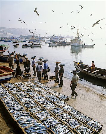 simsearch:862-05998941,k - Traditional porters of fish in the fishing harbour of Sines, Portugal Stock Photo - Rights-Managed, Code: 862-03889329