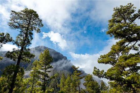 Caldera de Taburiente, Parque Nacional de Taburiente, La Palma, Canary Islands, Spain Foto de stock - Con derechos protegidos, Código: 862-03889692