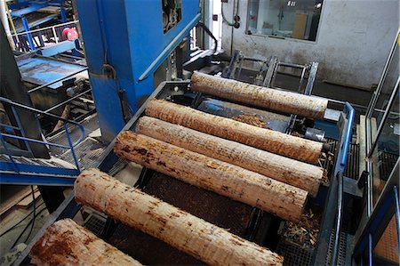 sawmill wood industry - France, Aquitaine Landes (40), Mimizan, sawmill Stock Photo - Rights-Managed, Code: 877-08078984