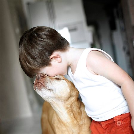 Little boy with a dog Stock Photo - Rights-Managed, Code: 877-08128087