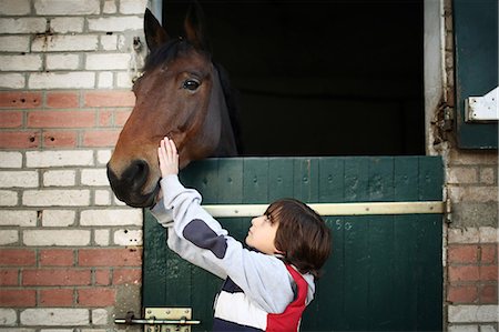 A boy stroking a horse in a stable Stock Photo - Rights-Managed, Code: 877-08128950