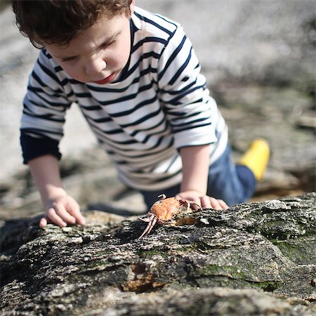 simsearch:633-05401710,k - 3 years old boy looking at a crab near the beach Stock Photo - Rights-Managed, Code: 877-08129113