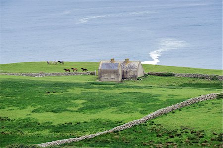 sea horse - Irish landscape with cottages and horses near Doolin, Munster, Co.Clare, Ireland, Europe. Stock Photo - Rights-Managed, Code: 879-09033242