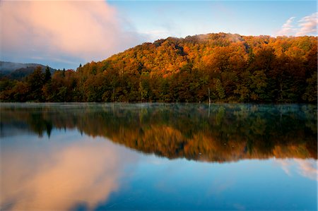 fall trees lake - Plitvice national park,Karlovac region, Croatia district, Europe. Stock Photo - Rights-Managed, Code: 879-09033876