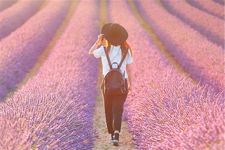 people walking in a line - Europe, France,Provence Alpes Cote d'Azur,Plateau de Valensole. Girl in lavender field. Stock Photo - Rights-Managed, Code: 879-09043253