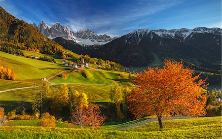 south european - Autumn at the village of Santa Magdalena, Funes valley, Odle dolomites, South Tyrol region, Trentino Alto Adige, Bolzano province, Italy, Europe Stock Photo - Rights-Managed, Code: 879-09043324
