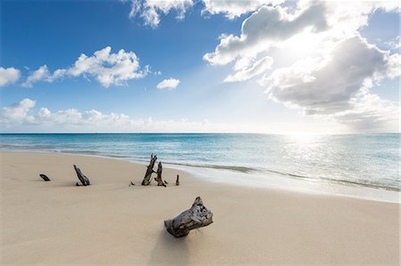 Tree trunks on the beach framed by the crystalline Caribbean Sea Ffryers Beach Antigua and Barbuda Leeward Islands West Indies Stock Photo - Rights-Managed, Code: 879-09043910