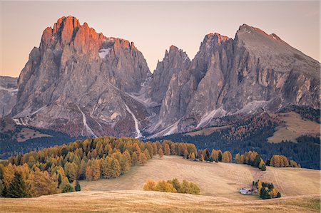 Alpe di Siusi with Mount Sassolungo and Mount Sassopiatto on yhe background, South tyrol, Italy Photographie de stock - Rights-Managed, Code: 879-09101050