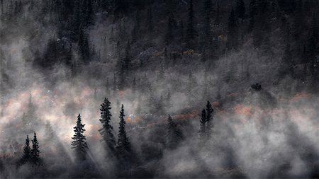 dusty environment - Denali National park, Alaska, United States, North America Stock Photo - Rights-Managed, Code: 879-09129087