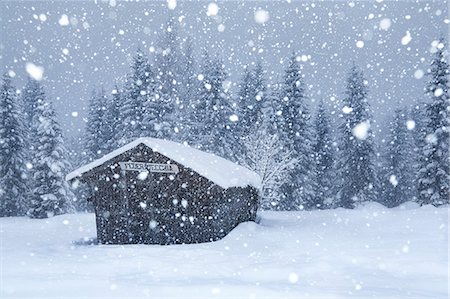 snowy chalet - Old mountain barn under a copious snowfall, Ansiei valley, Auronzo di Cadore, Dolomites, Belluno, Veneto, Italy Stock Photo - Rights-Managed, Code: 879-09129122