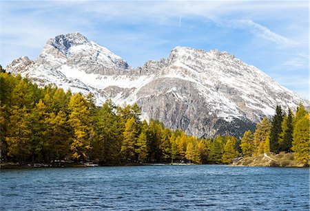 fall trees lake - Larch trees on the shore of Lai da Palpuogna (Palpuognasee), Bergün, Albula Pass, canton of Grisons, Switzerland Photographie de stock - Rights-Managed, Code: 879-09129259