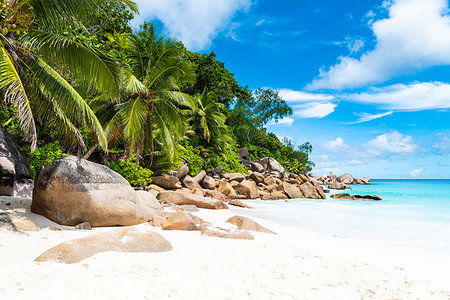 simsearch:400-05745636,k - Anse Georgette, Praslin island, Seychelles, Africa Stock Photo - Rights-Managed, Code: 879-09189141